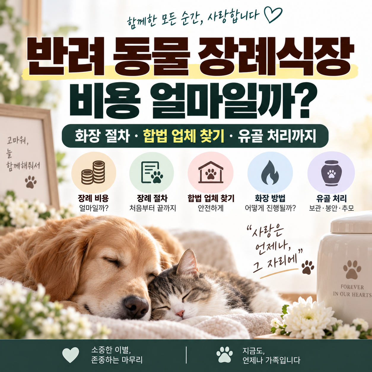 반려 동물 장례식장